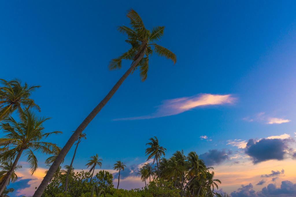 Sabba Summer Suite , Fodhdhoo - Maldives Exterior foto